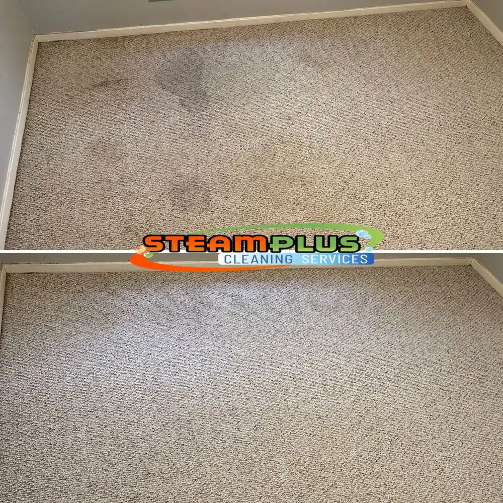 Before After Steamplus cleaning (11) Before After Steamplus cleaning (11)